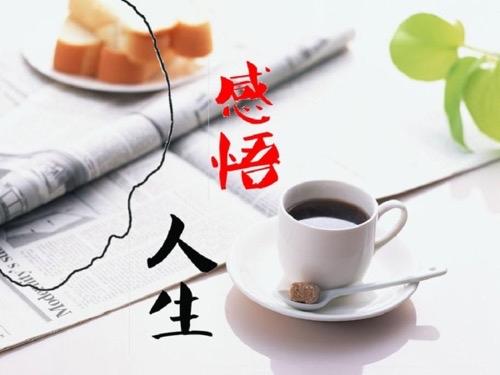 心术不正难富贵，狡诈之人必自毁心机深沉难长久，虚伪之辈终自败处事但求厚道