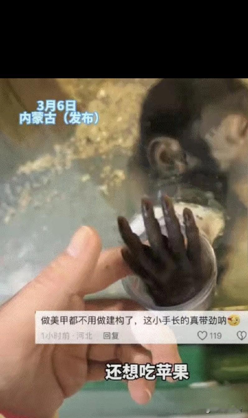 万万没有想到，内蒙古，一女子去动物园看猴，期间就发现一只单独关着的小猴子特别可爱