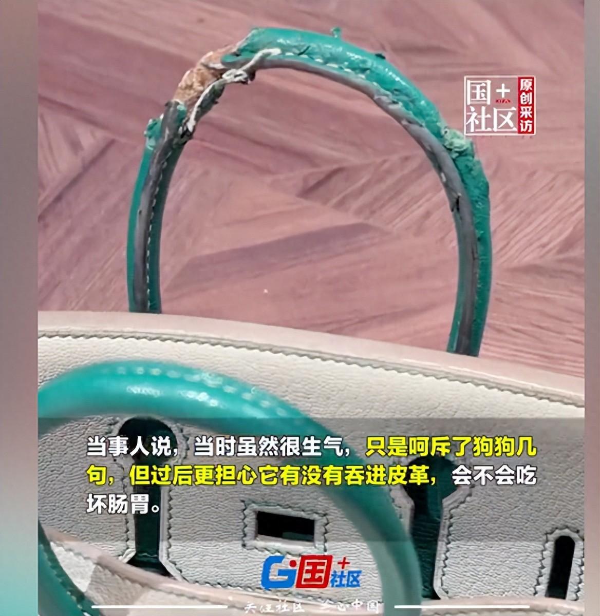 十几万的爱马仕包，被狗啃成了碎渣！主人看到现场，第一反应不是心疼包，而是——我的