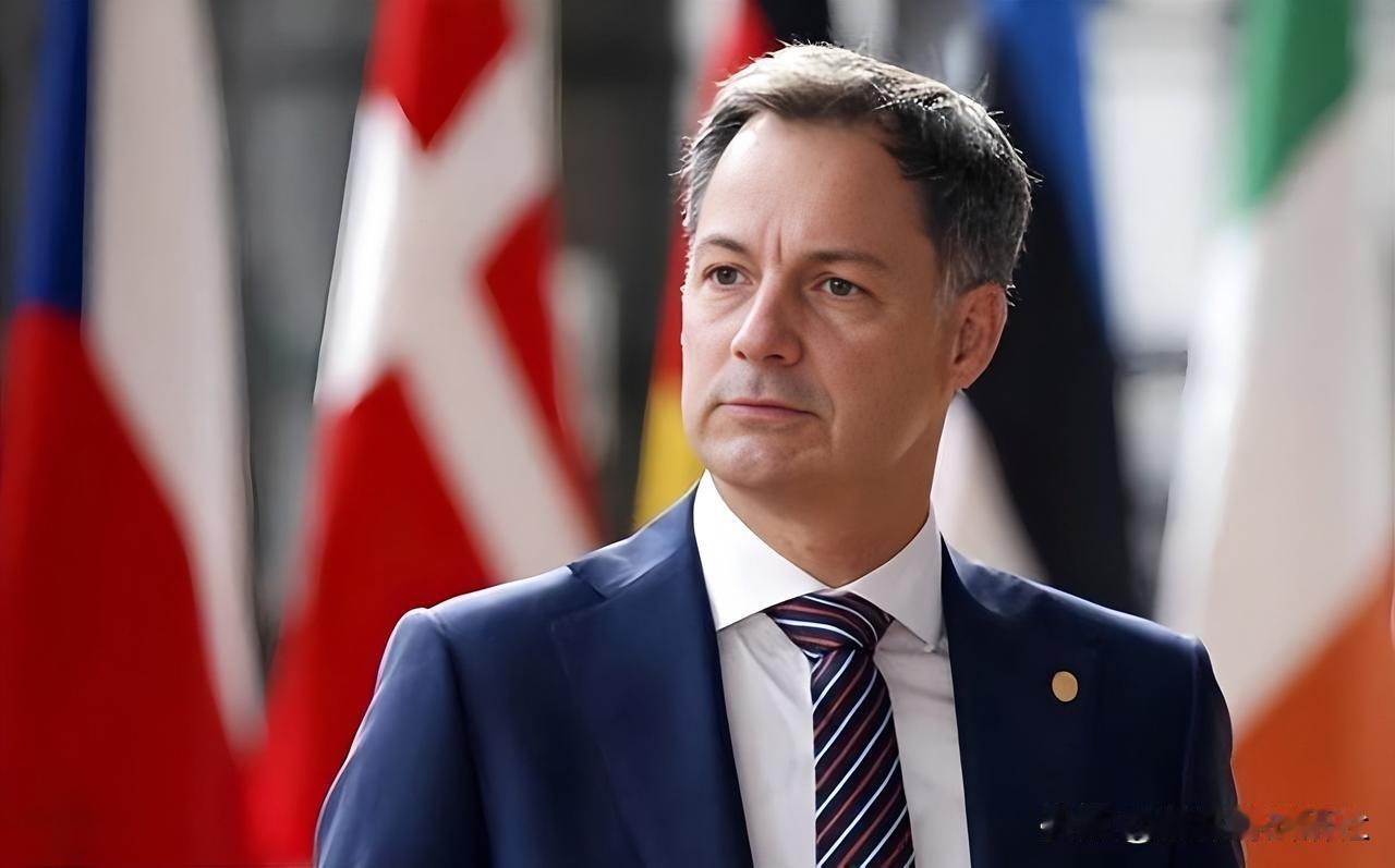 大过年的，谁也没想到比利时首相德韦弗会这么评价中国！他说：全世界都抢着想加入欧