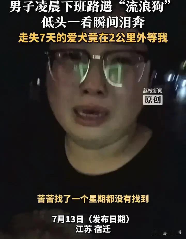 太感人了！近日，江苏宿迁一名男生养的小狗走失了，整整一周杳无音信，他和母亲到处寻