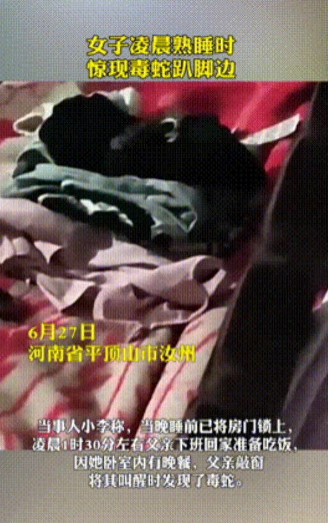 “上辈子积德了！”河南平顶山，一女子半夜被父亲敲窗叫醒，等起身下床时，竟看到1米