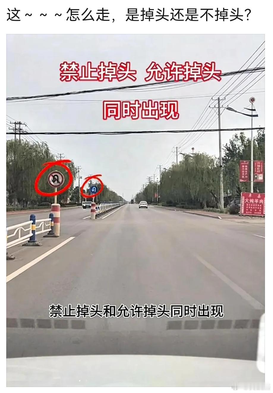 老司机们，禁止掉头和允许掉头同时出现这种情况到底是允许掉头还是不允许掉头？