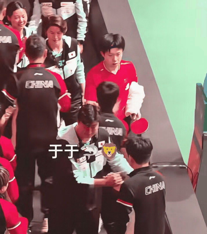 大家伙儿仔细瞧瞧，一遍看不清楚就再看一遍，头哥过来和大家拍手时，和其他人都是轻轻