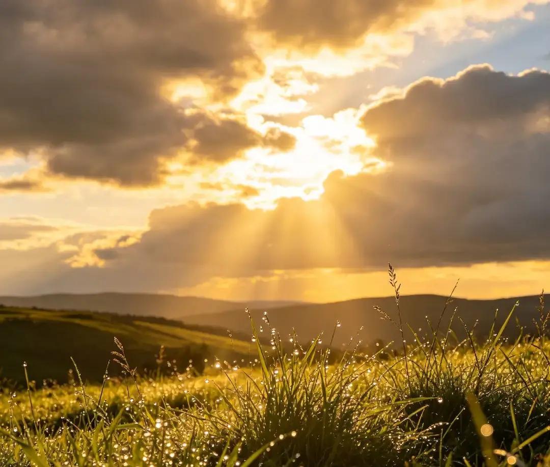 天蝎座最近突然不钻牛角尖了。以前别人一句玩笑我能琢磨三天。现在听完就忘。