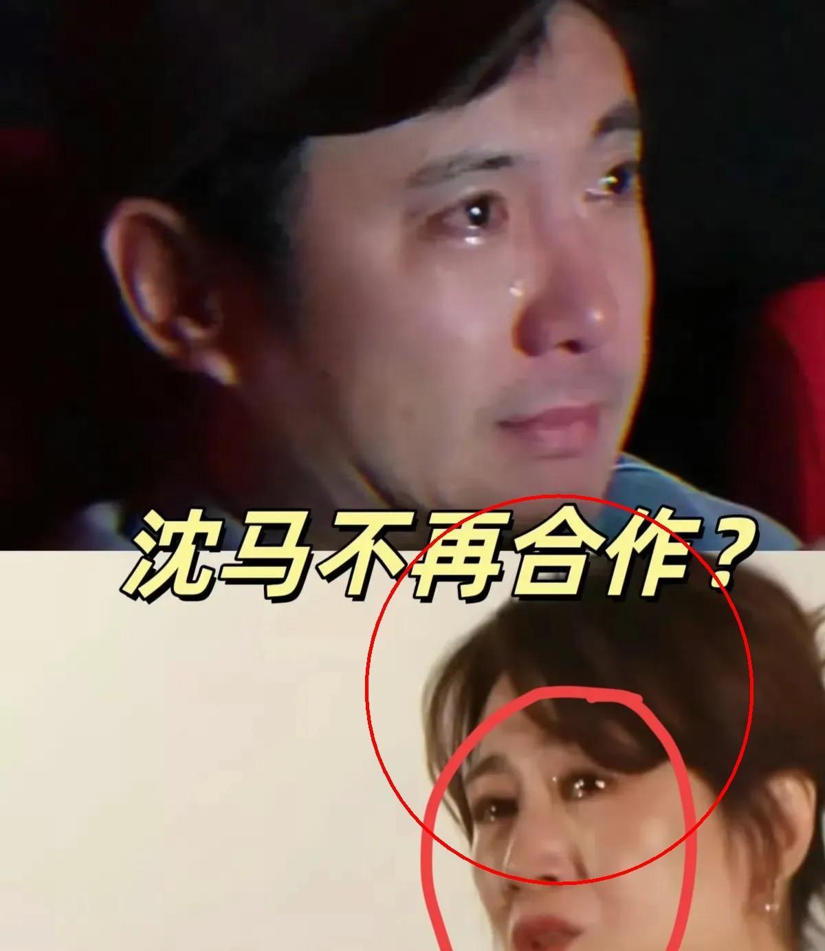 马丽可能不会再和沈腾合作了马丽在活动现场哽咽着说出真相：她和沈腾的家属默默支持
