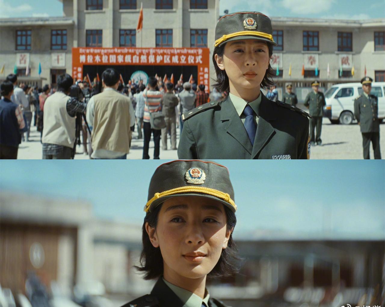 凌晨三点，秦岭零下七度，巡山队把偷伐者按在雪里，手电光扫过——不是锦旗，是