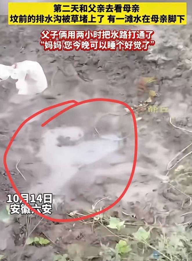 “这下真的解释不清了！”近日，安徽六安，儿子夜里做了个梦，梦里妈妈对他说了句：脚