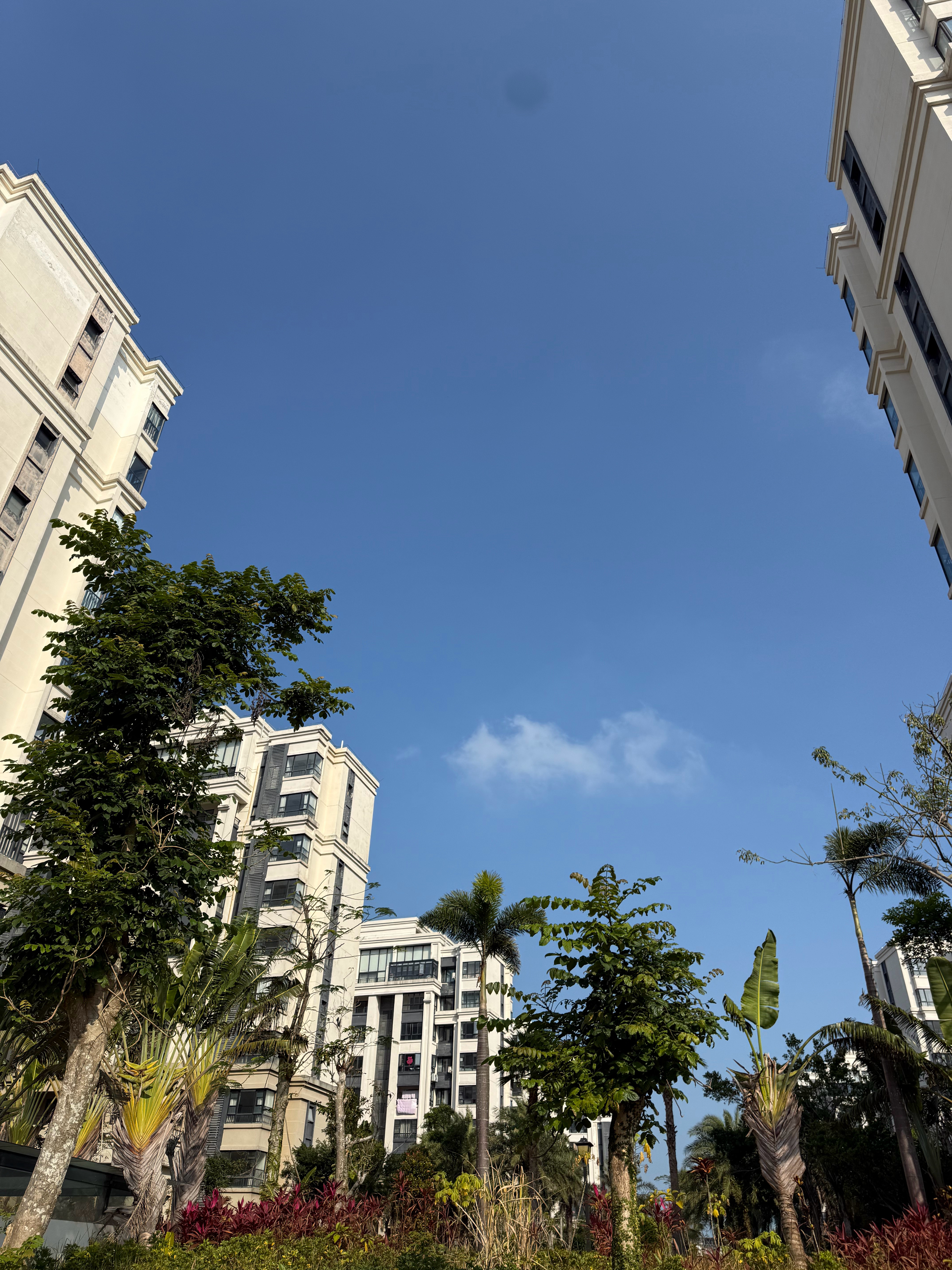 半年走了2500km，我这腿部肌肉可以跟足球运动员比了。