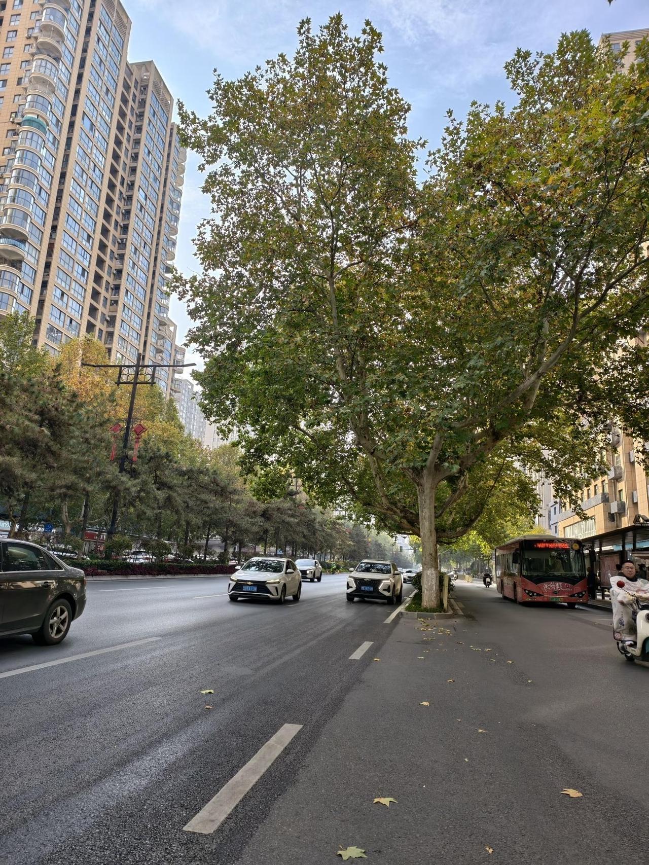 再过4年就到退休年龄的女同事，放弃了优厚的退休金，选择了内退。这几天单位都在