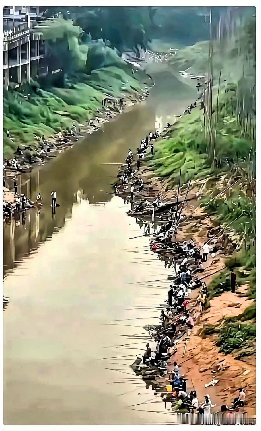 昨天小区清淤，把后河抽干了，结果把岸边那群钓鱼佬给整沉默了。偌大一条河，淤泥里