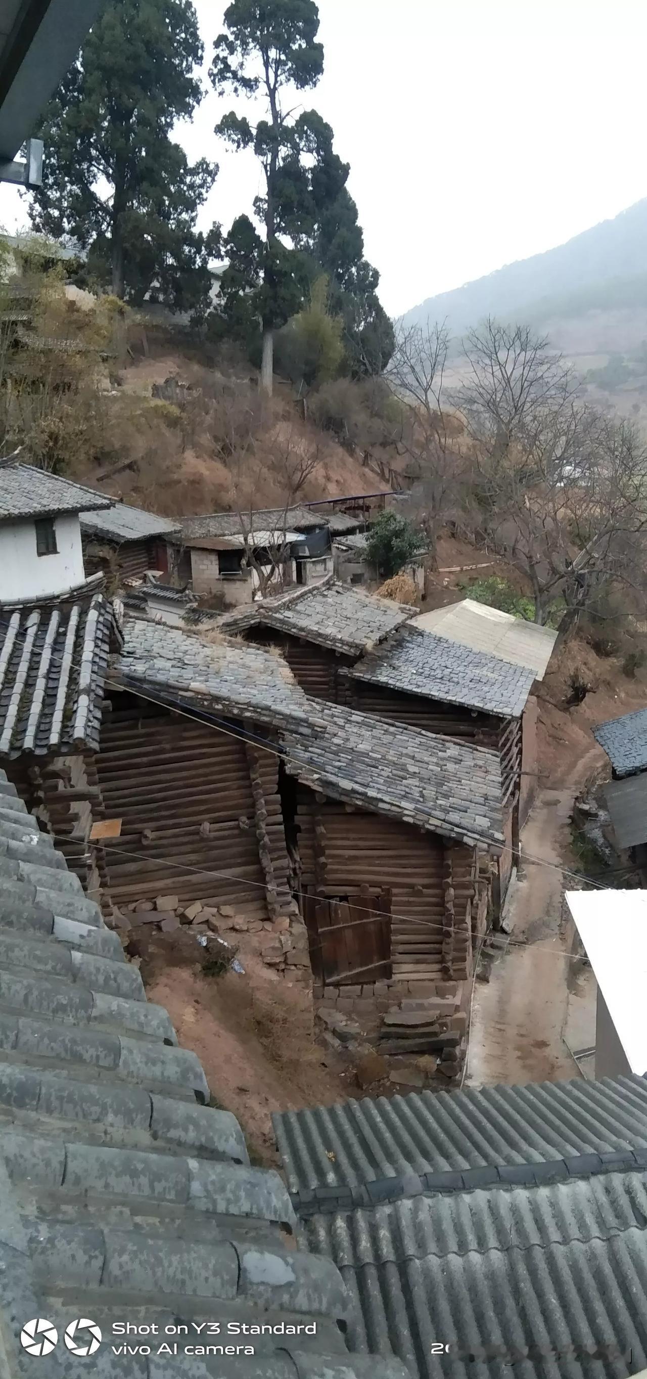 回到家里又开始下雨了。气候又开始冷起来了。边烤火，边吃饭，大米饭加玉米花，干萝卜