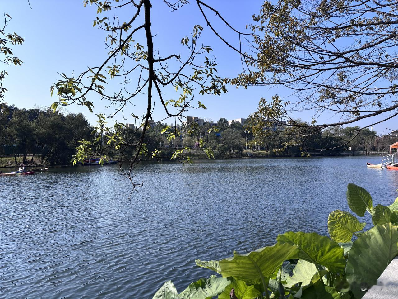 说实话，在A股想找只分红稳的股票不容易。但还真有那么一小撮公司，经得住考验，