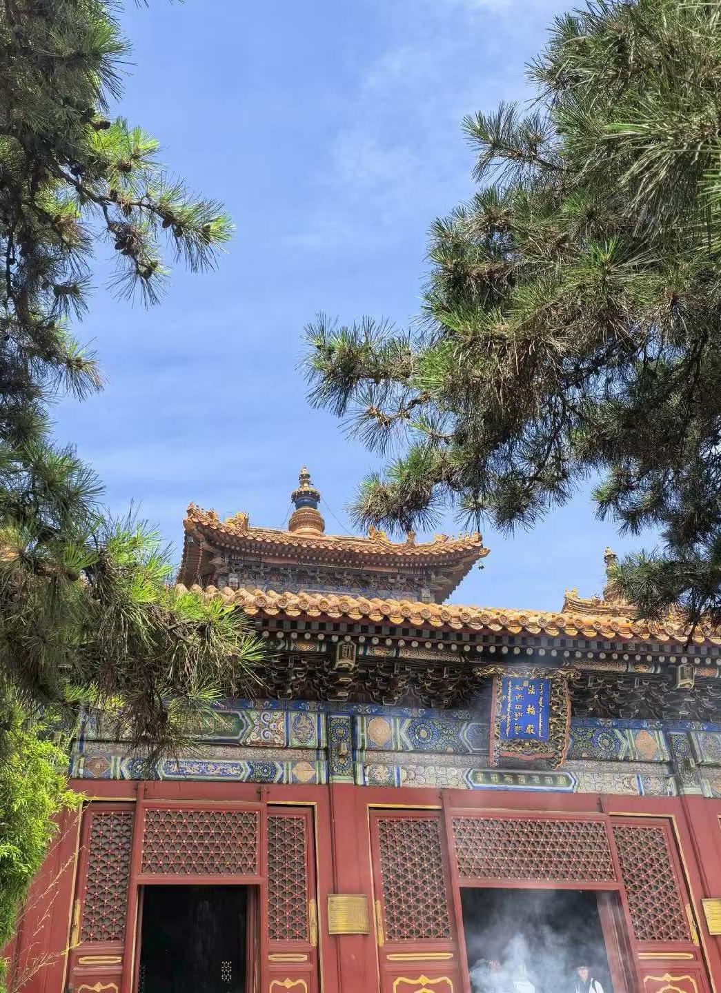 問候中分享快樂，記憶中珍藏美好，生活中回想故事，歲月中不忘緣分。早安吉祥