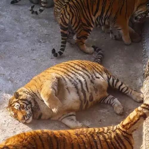 完全一致