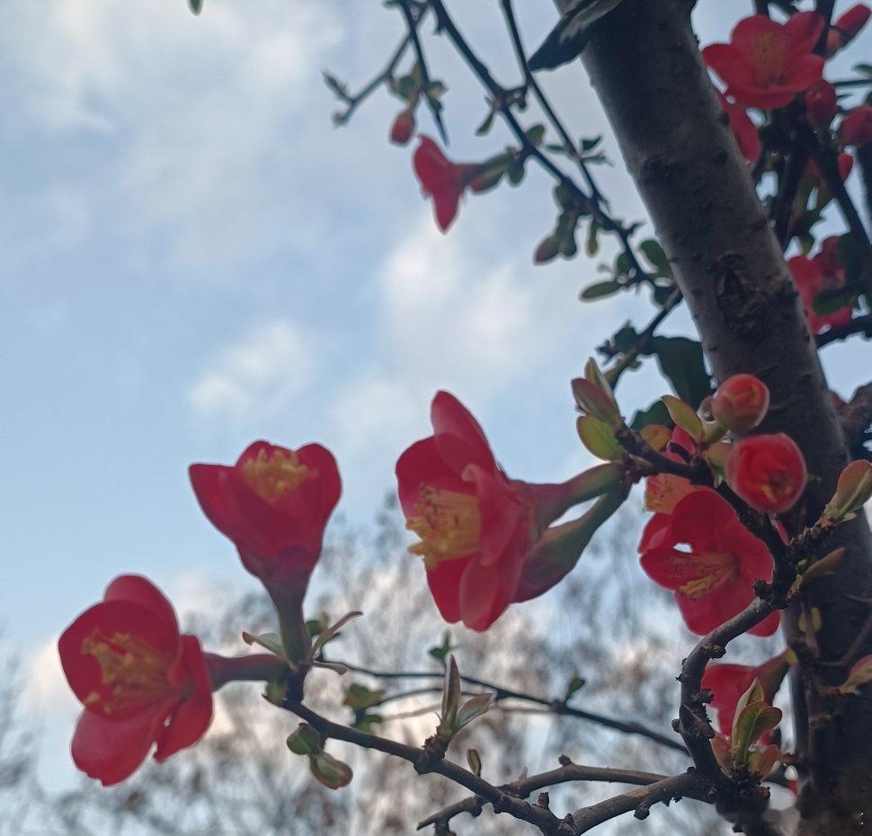 我们小地方也有许多年轻人选择不婚不育，过年回去见过的那些不结婚的人的父母没有一个