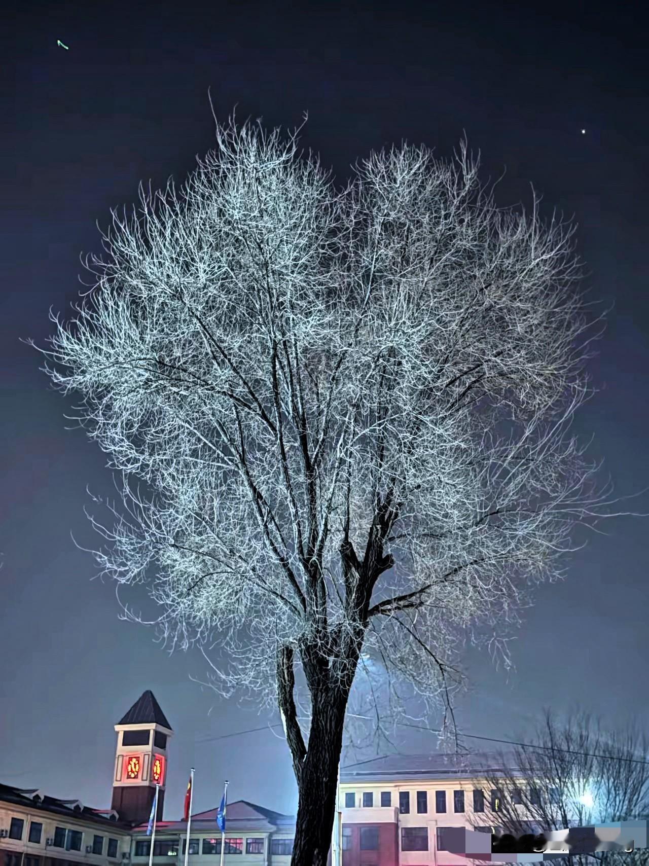 熊三石的恶毒真的没有底线！咒洛阳佳佳死有余辜还不够，竟拿孩子的性命威胁柴桑，扬言