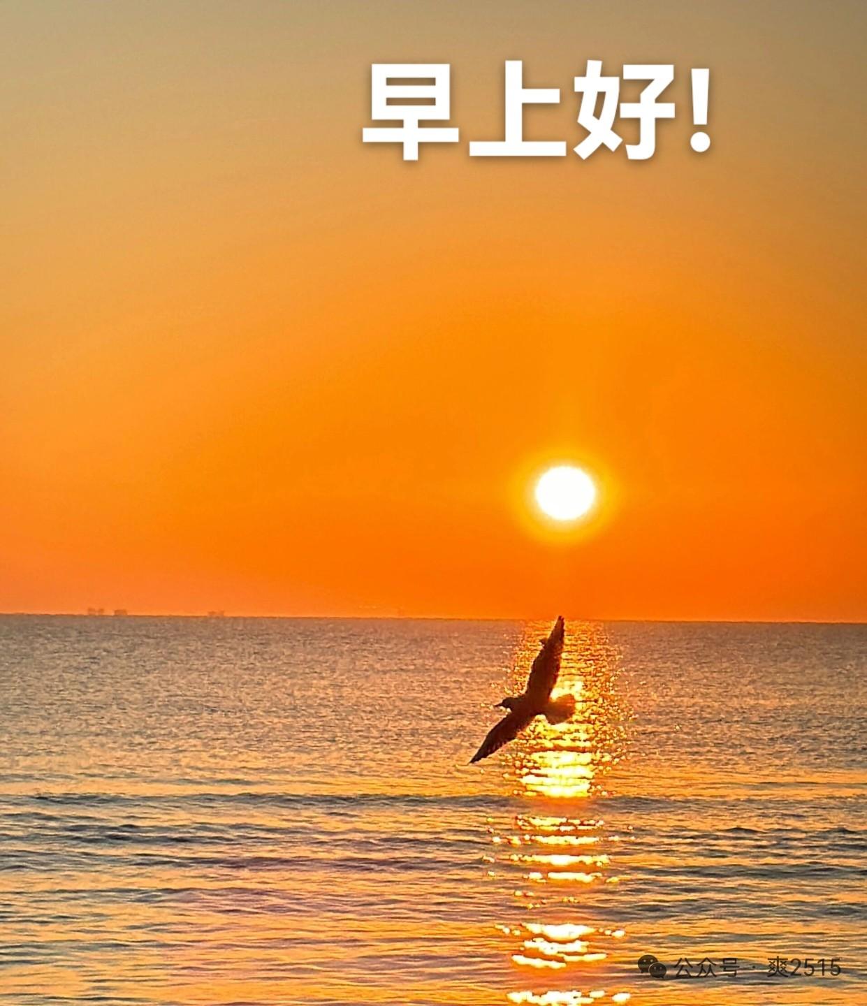 早上问候语集锦（128）1.早上好！人生恰是一首歌：少年时唱的是蓬勃希望，青