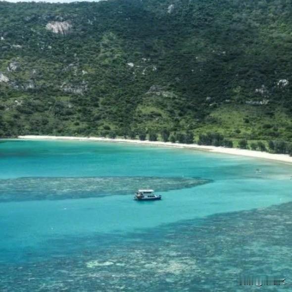 花数万美金游澳洲，80岁老太第一站就被游轮丢岛上，尸体次日才找到刷到澳洲这