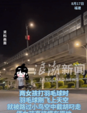 笑发财了！福建，一女孩和朋友晚上去打羽毛球，谁料，在把球丢向空中时，有只小鸟刚好