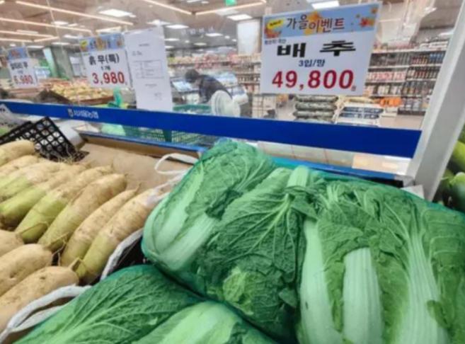 韩国某智库称:“既然中国可以拒绝进口美国大豆作为反击手段,韩国也可以不买中国的大