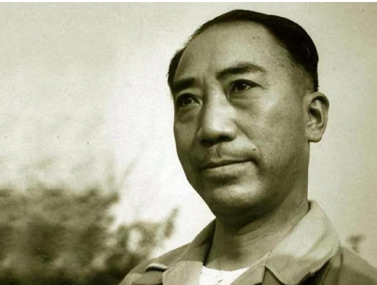 1923年，戴笠在上海流浪，吃住在表弟张冠夫家里。张冠夫是商务印刷馆的职员，他和