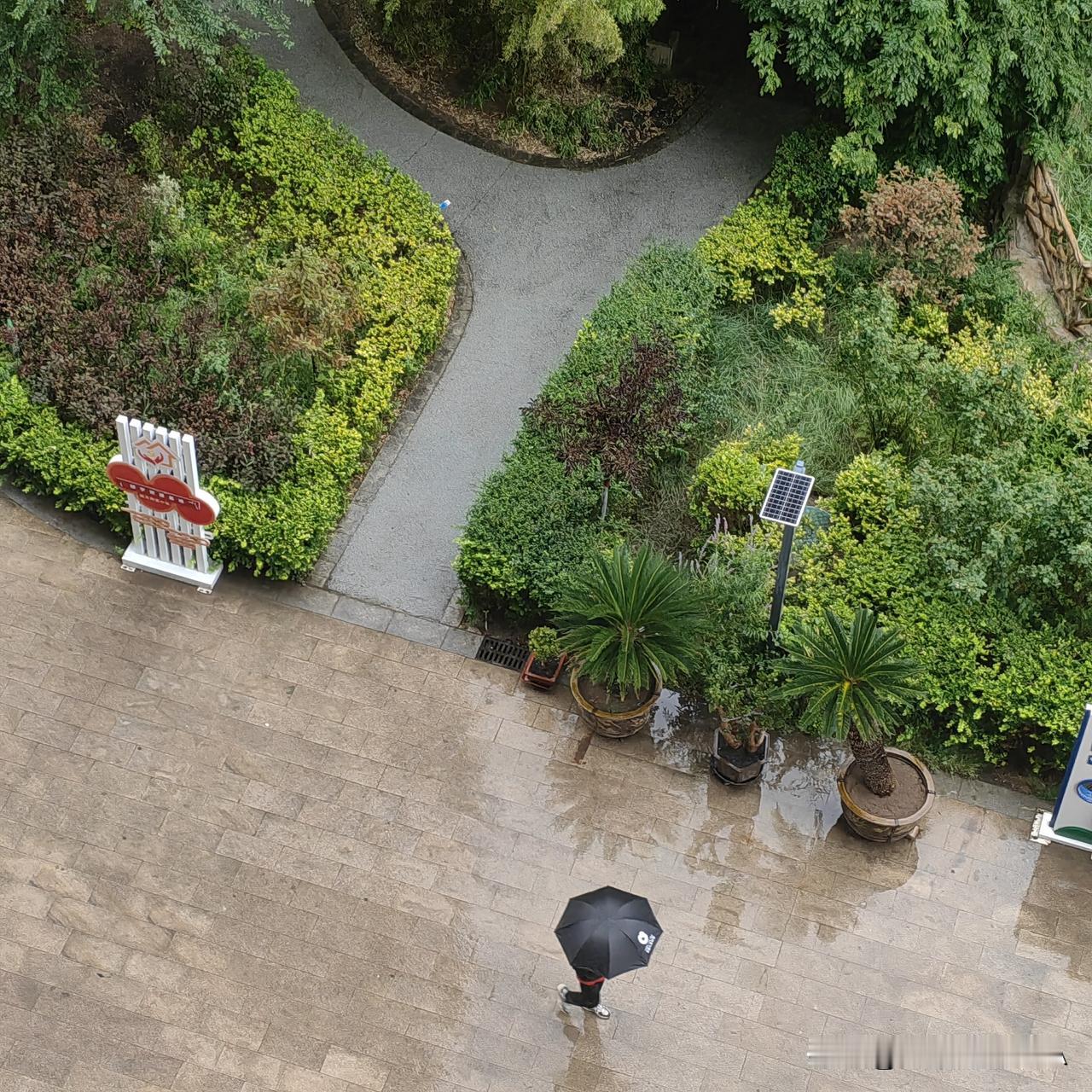 兰州的雨真的是千呼万唤始出来，这几天的那种高温，感觉真的是把人快烤熟了大