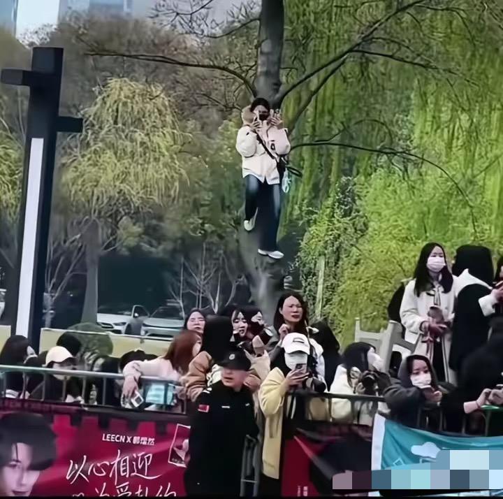 国乒成都封闭训练—这些球迷太疯狂！有个小姐姐站到树上，有位大哥爬到树尖，这