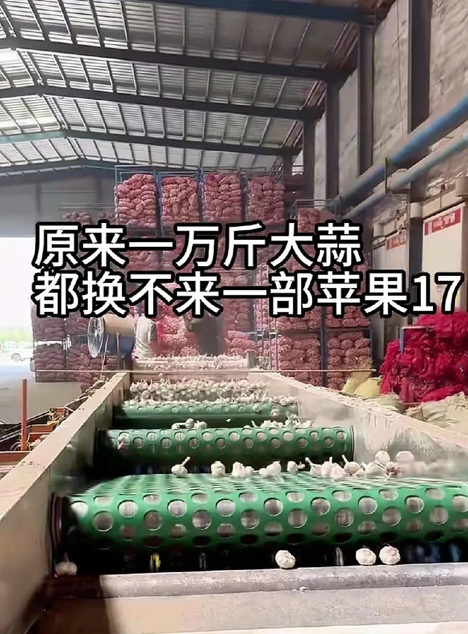发这个文案的，大概不知道大蒜多少钱一斤吧！