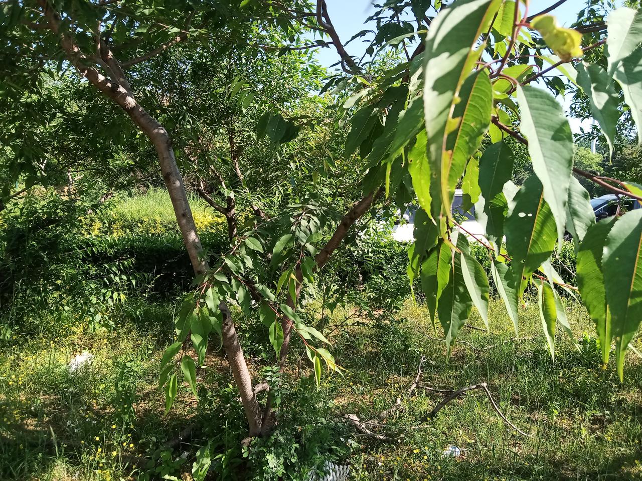 去超市买东西，被一阵恶臭熏的受不了，那种恶臭就像鸡棚里传出来的那种味道，去超市转