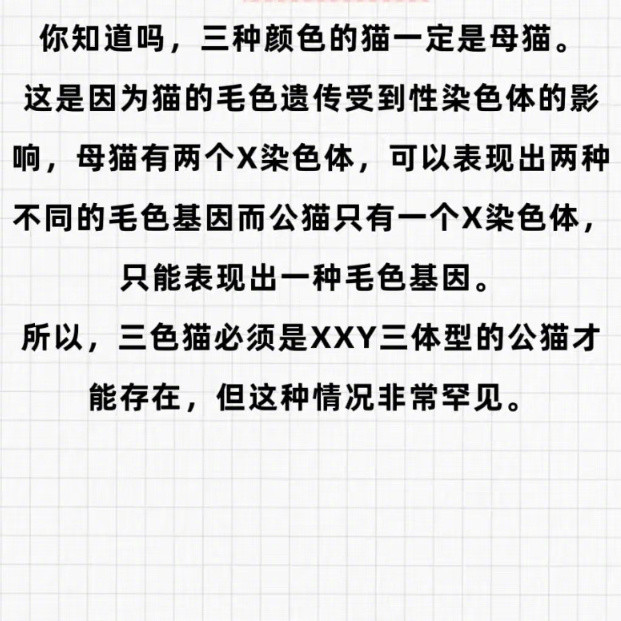 三种颜色的猫几乎都是母猫因为控制猫毛色的基因位于性染色体X上，而Y染色体没有