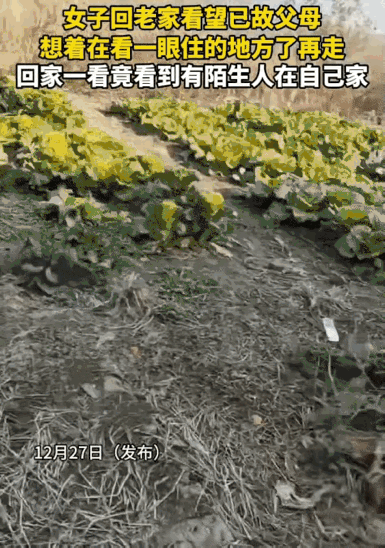 女子远在外地工作，父母都已经不在了，回老家祭奠一下父母，祭奠完父母后，女子就回到