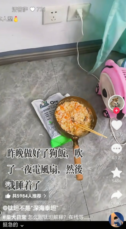 面条专挑细处断，命运戏弄大馋狗