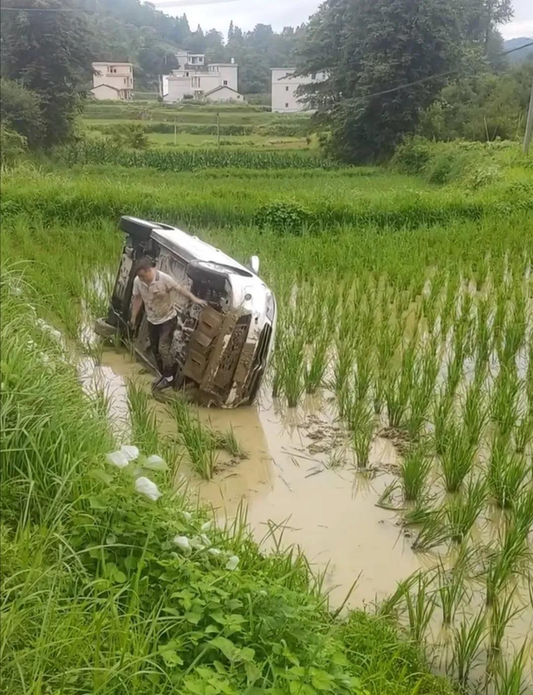 兄弟，你买车了？丰田还是本田？