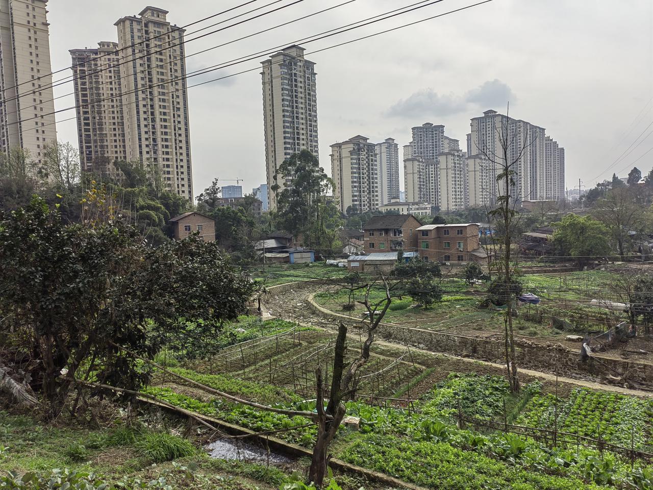 《小偷进小区偷头盔》小区群里炸了㶽，邻居曝料有小偷。小偷是个红衣女，进