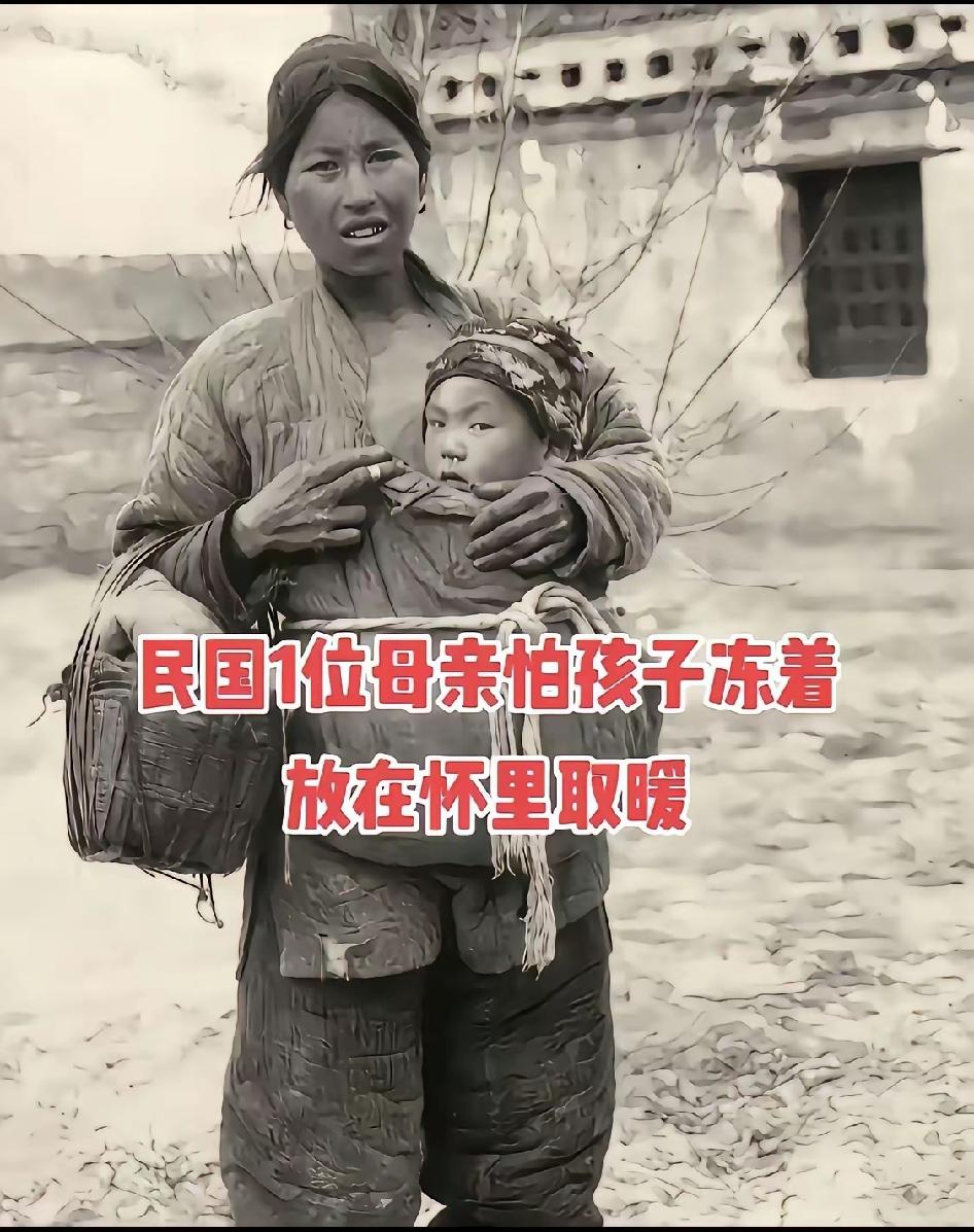 过去怀里是血脉，现在怀里是宠物。