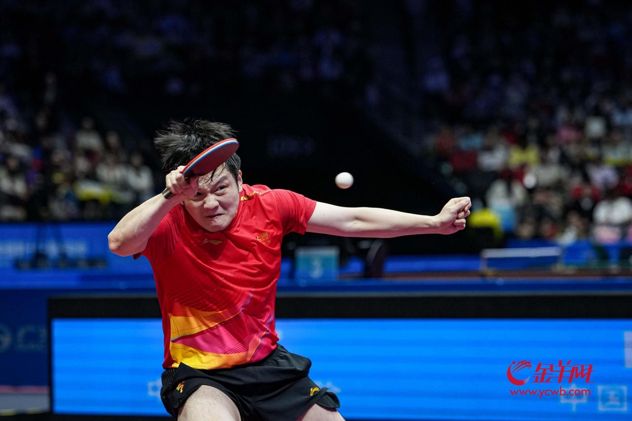 有一种想念叫樊振东作为繁星中的一员，我是从巴黎奥运会开始认识并了解东哥，也爱