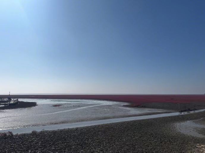 辽宁碱蓬草变成了一望无际的红海滩红海滩国家风景廊道是国家AAAAA级景区，碱蓬草在湿地中肆意生长，变