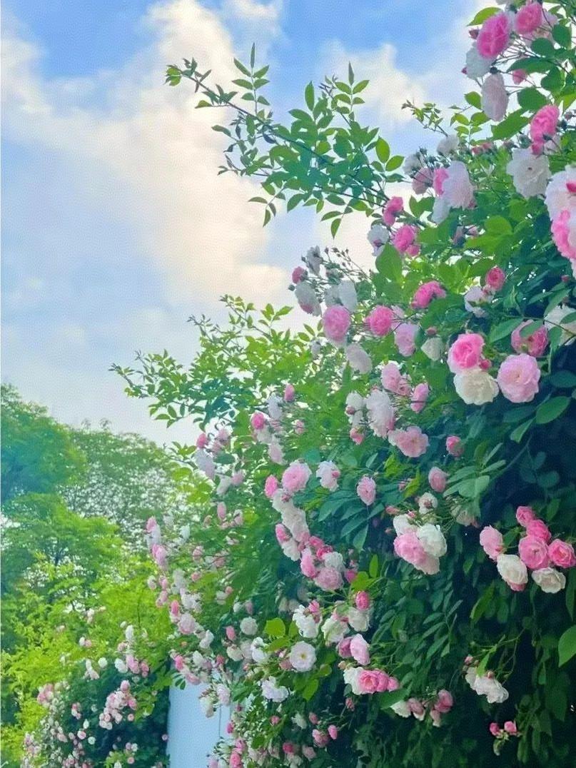 一节课下来，快要结束的时候，发现坐在最后一排的同学睡了才刚刚醒，一个字都没有写。