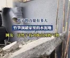 近日，福建龙岩陈老板乐坏了，简直是意外之喜，可一想到地面还得重新装修也很无奈。原