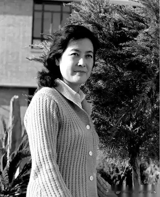 杨雅琴：银幕女英雄的悲情人生，临死恨错的是自己临死前，两任丈夫一个都没来。葬