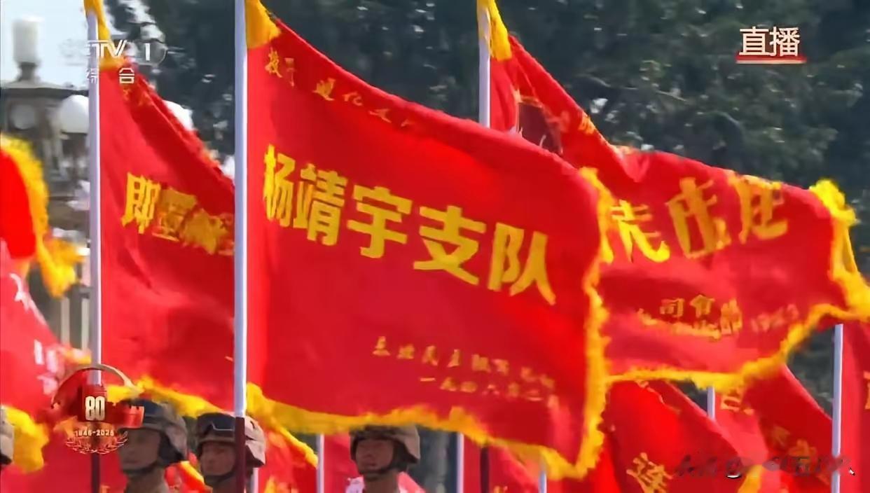 看到“杨靖宇支队”的旗帜后，让人潸然泪下！这几天正在追央八播放的电视连续剧《归
