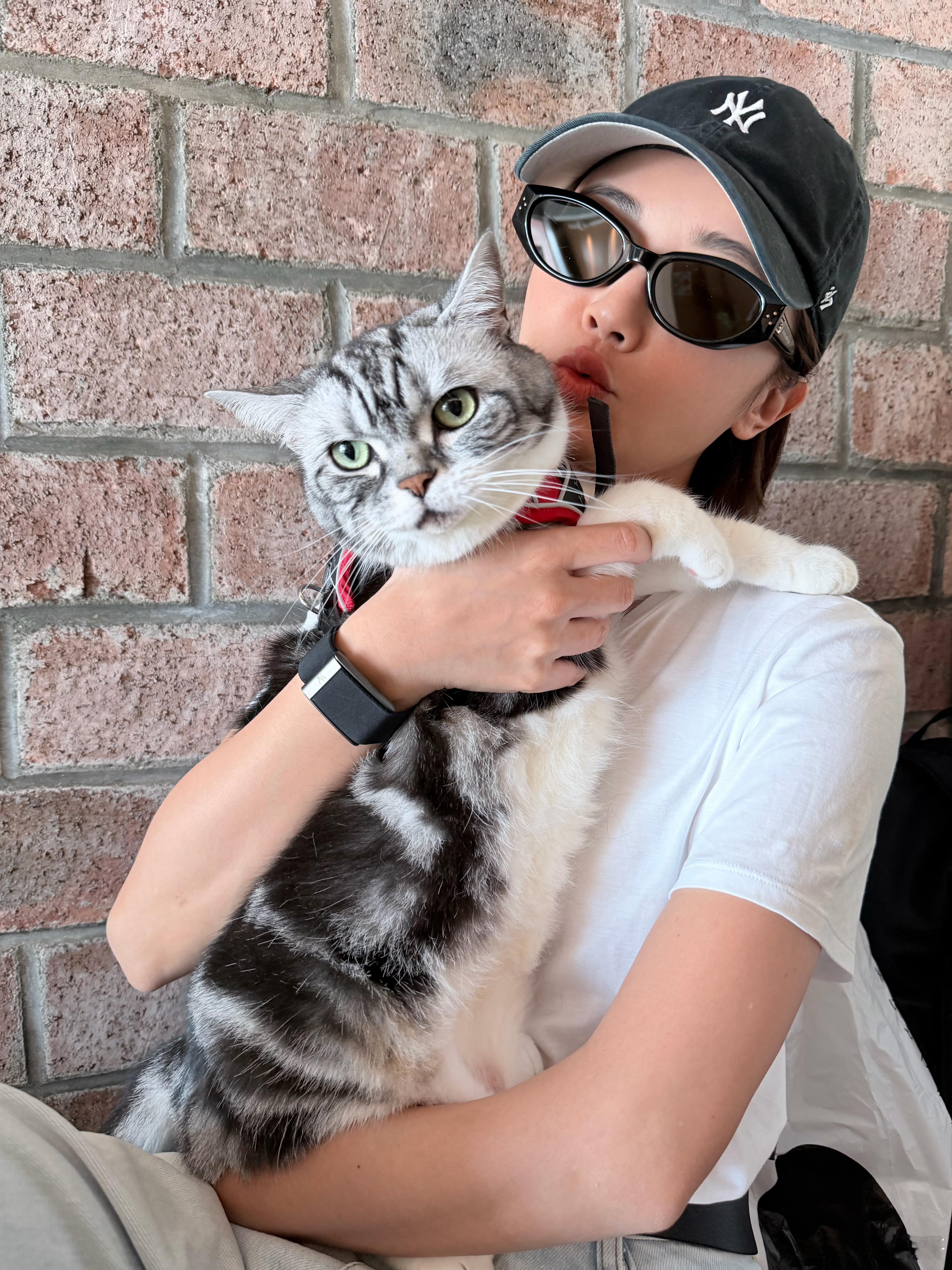 猫咪：我准备好了，拍吧📸