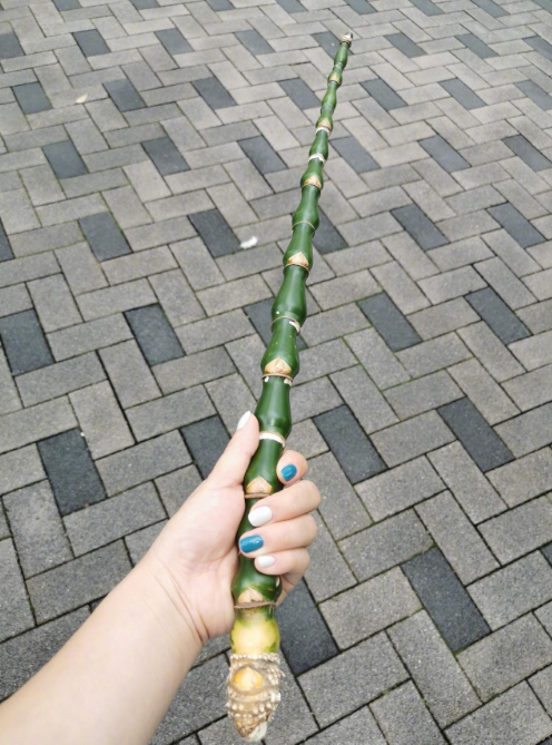 没有人能拒绝一根很直的棍子​​​