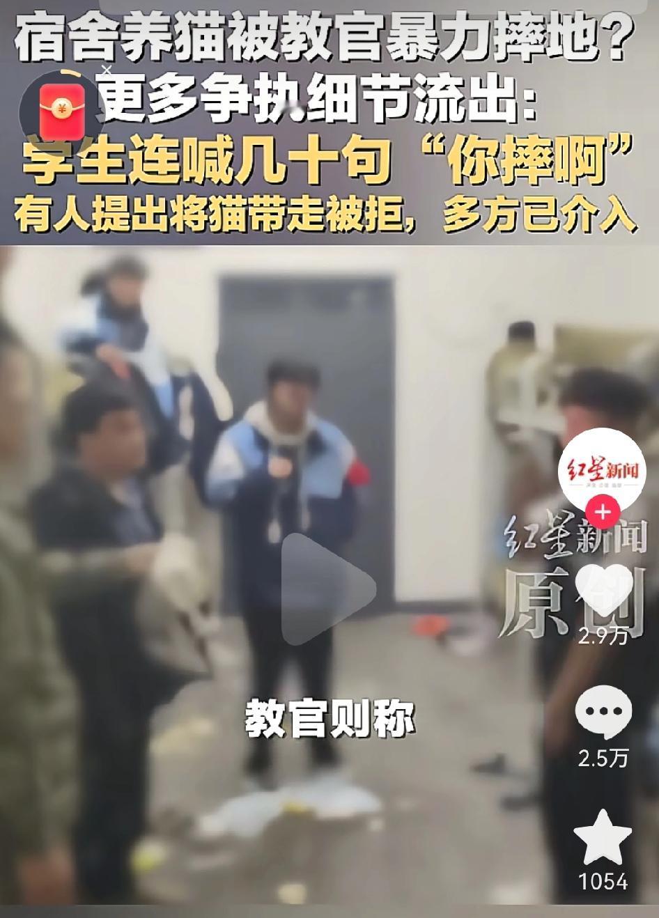 湖南湘西教官摔猫事件，不得不说，这个教官太不冷静了。我也讨厌这类养猫的，把猫带