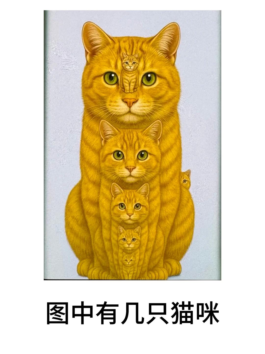 【考眼力】有人说图中其实藏着10只猫咪，我咋只看到3只？