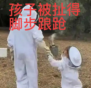 小莉莉白太难了！妈妈好狠心天呐！公爵夫人梅根也太狠了吧！