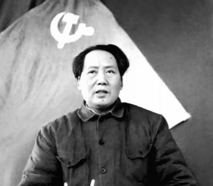 1948年，毛主席的厨师刚要杀鱼做鱼汤，就被聂荣臻按住了手：“先别急着杀，这条鱼