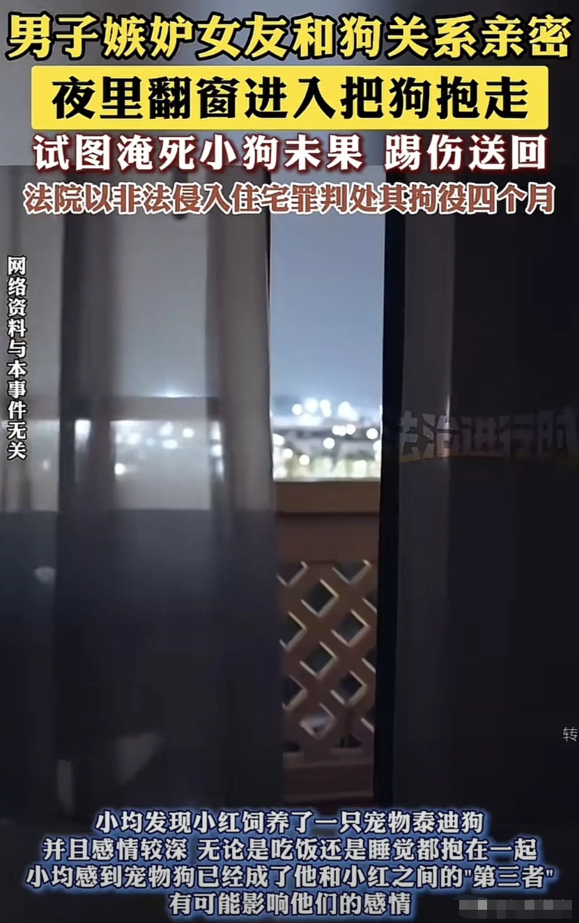 上海，一男子发现女友，与其宠物泰迪狗关系异常亲密，吃饭睡觉都抱着，男子起了嫉恨之
