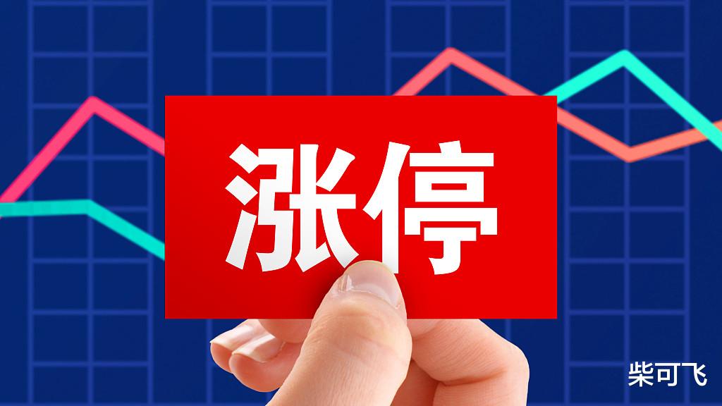 20250512,谈股论金!
